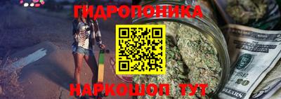 соль ск Будённовск