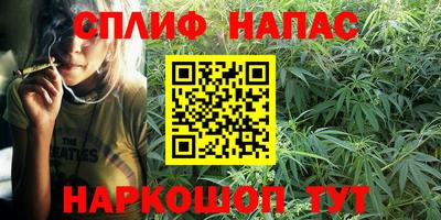 соль ск Будённовск