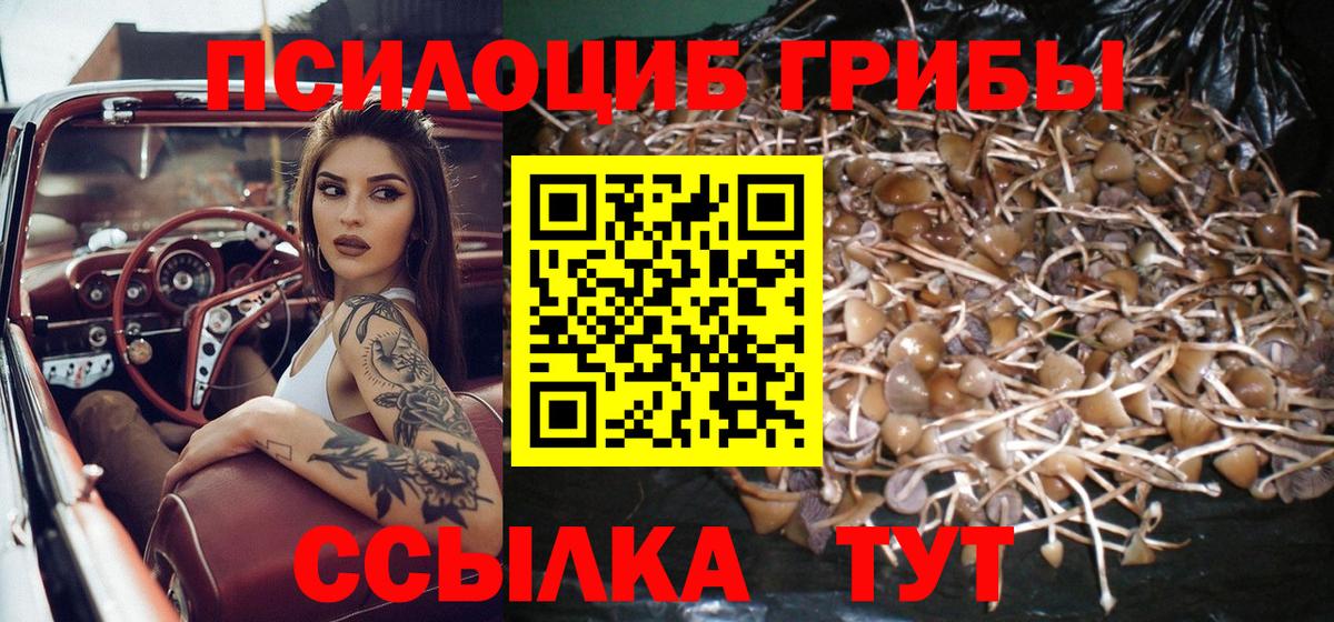 Псилоцибиновые грибы прущие грибы Воркута